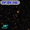SV* DV   241