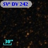 SV* DV   242