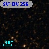 SV* DV   256
