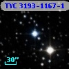 TYC 3193-1167-1