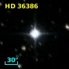 HD  36386