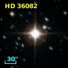 HD  36082