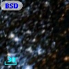 BSDL 1960