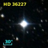 HD  36227
