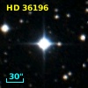 HD  36196