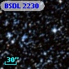 BSDL 2230