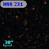 H88 231