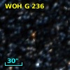 WOH G 236