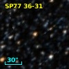 SP77  36-31
