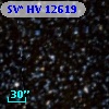 SV* HV 12619