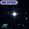HD  37556