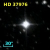 HD  37976