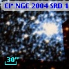 Cl* NGC 2004    SRD    1305