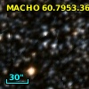 MACHO  60.7953.36