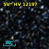 SV* HV 12197