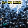 SV* HV 12202