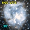 NGC  1773