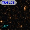 TRM 123