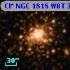 Cl* NGC 1818    WBT      37