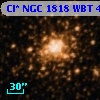 Cl* NGC 1818    WBT      48