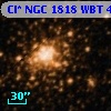Cl* NGC 1818    WBT      49