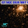 Cl* NGC 1818    WBT      43