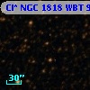 Cl* NGC 1818    WBT      95