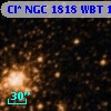 Cl* NGC 1818    WBT     101