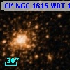 Cl* NGC 1818    WBT     113
