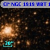 Cl* NGC 1818    WBT     131