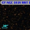 Cl* NGC 1818    WBT     142