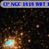 Cl* NGC 1818    WBT     151