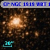 Cl* NGC 1818    WBT     167