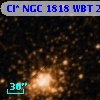 Cl* NGC 1818    WBT     203
