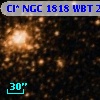 Cl* NGC 1818    WBT     223