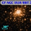 Cl* NGC 1818    WBT     224