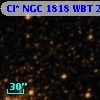 Cl* NGC 1818    WBT     238