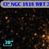 Cl* NGC 1818    WBT     245