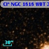 Cl* NGC 1818    WBT     248