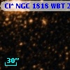 Cl* NGC 1818    WBT     254