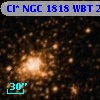 Cl* NGC 1818    WBT     256