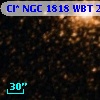 Cl* NGC 1818    WBT     261