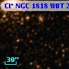 Cl* NGC 1818    WBT     299