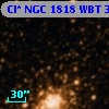 Cl* NGC 1818    WBT     309