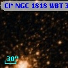 Cl* NGC 1818    WBT     311