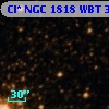 Cl* NGC 1818    WBT     315