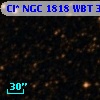 Cl* NGC 1818    WBT     333