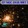Cl* NGC 1818    WBT     335