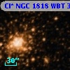 Cl* NGC 1818    WBT     341