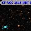 Cl* NGC 1818    WBT     384